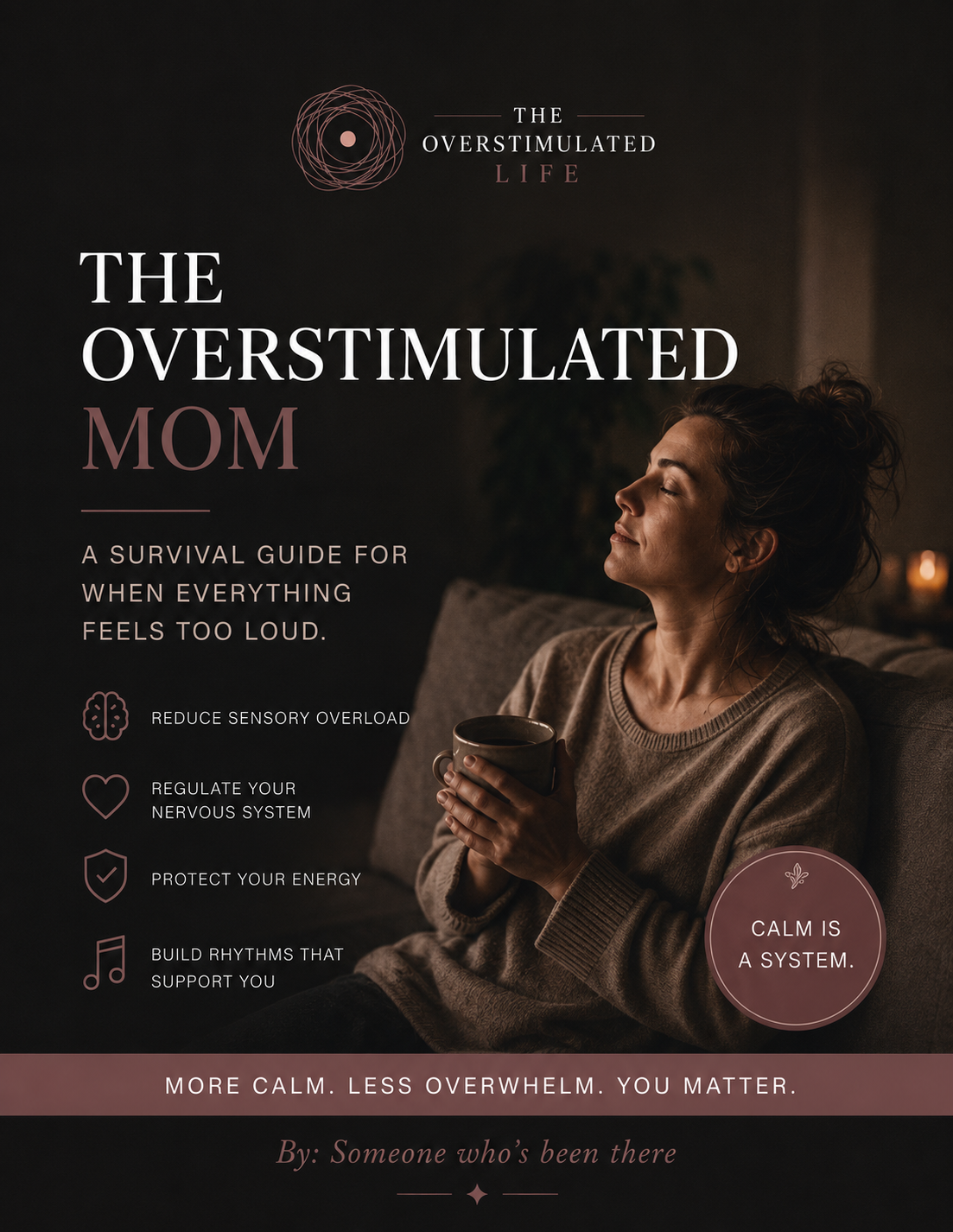 The Overstimulated Mom